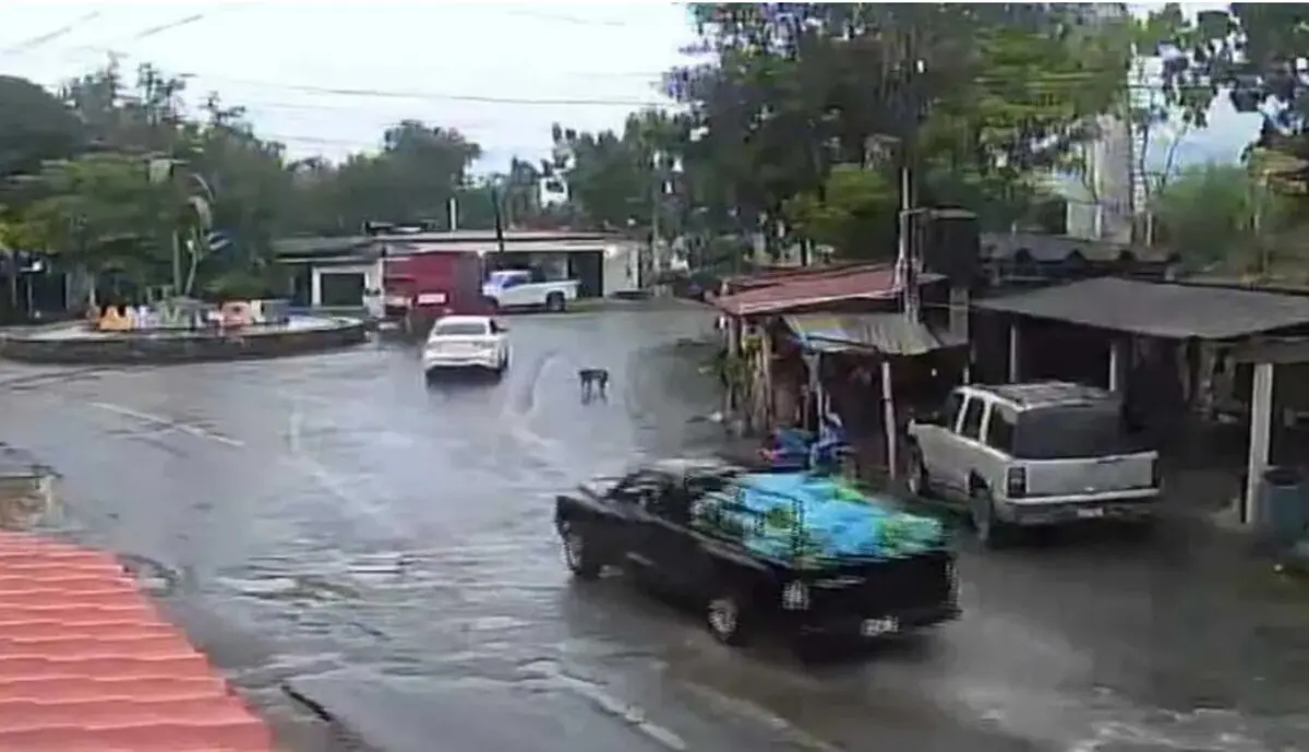  Un video reveló detalles sobre del artefacto que explotó en Coahuayana, Michoacán. 