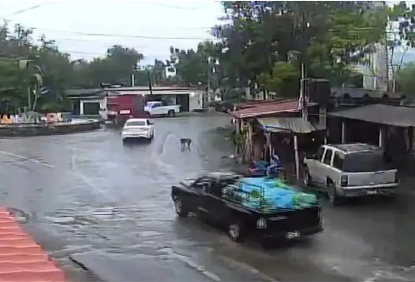 Un video reveló detalles sobre del artefacto que explotó en Coahuayana, Michoacán. Un video reveló detalles sobre del artefacto que explotó en Coahuayana, Michoacán.