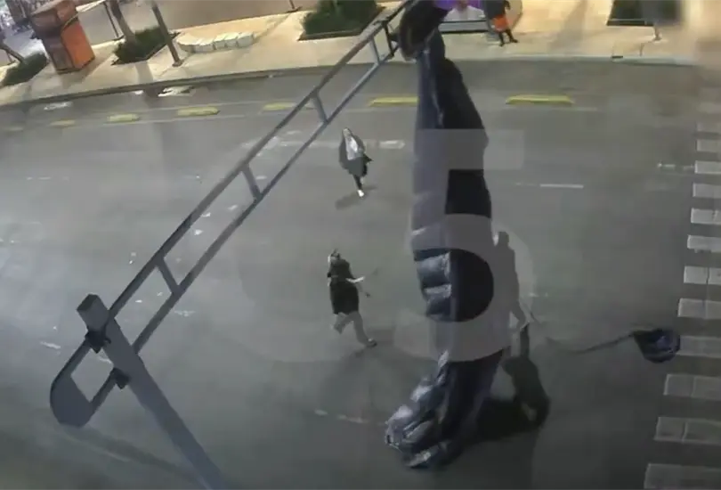 Paracaidista queda atrapado en semáforo de Balderas tras fallido aterrizaje en CDMX Paracaidista queda atrapado en semáforo de Balderas tras fallido aterrizaje en CDMX