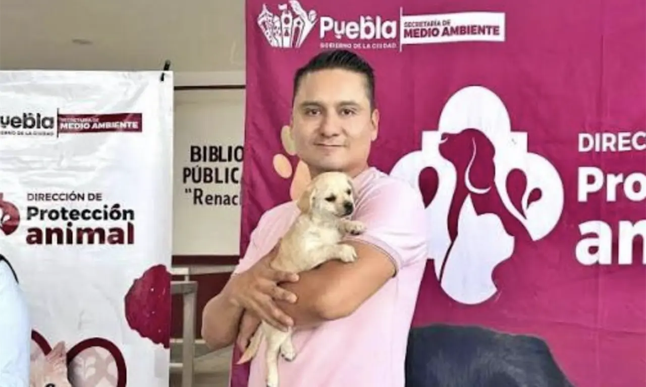  Vacunación, esterilización y adopciones: así fortalece Puebla su política de bienestar animal 