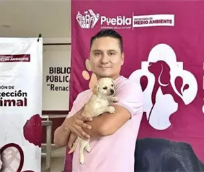 Vacunación, esterilización y adopciones: así fortalece Puebla su política de bienestar animal