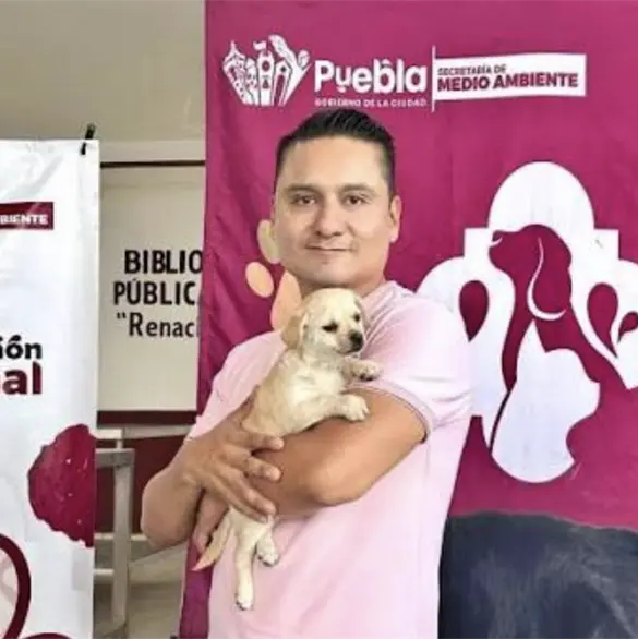 Vacunación, esterilización y adopciones: así fortalece Puebla su política de bienestar animal Vacunación, esterilización y adopciones: así fortalece Puebla su política de bienestar animal