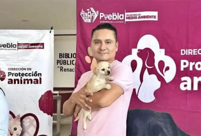 Vacunación, esterilización y adopciones: así fortalece Puebla su política de bienestar animal