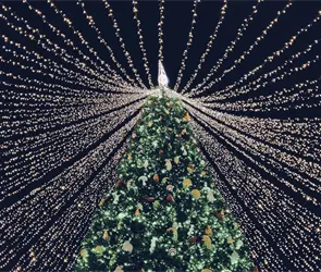 Consejos de la CFE para evitar riesgos con las luces y adornos en Navidad