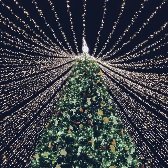 Consejos de la CFE para evitar riesgos con las luces y adornos en Navidad