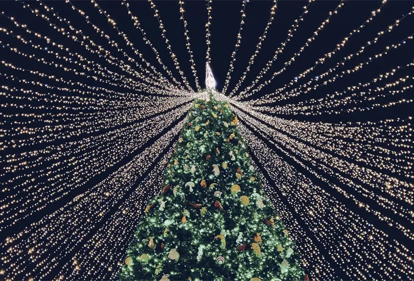 Consejos de la CFE para evitar riesgos con las luces y adornos en Navidad Consejos de la CFE para evitar riesgos con las luces y adornos en Navidad