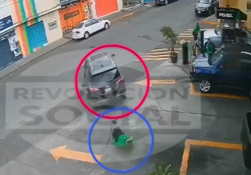 Analleli fue arrastrada varios metros. Especial