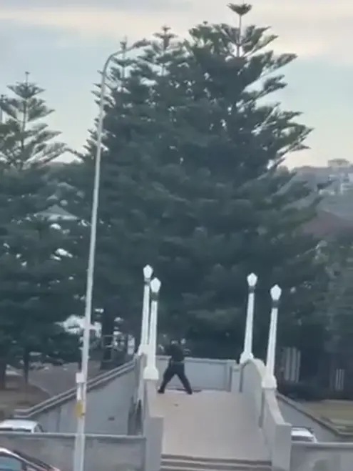 Captura de pantalla.