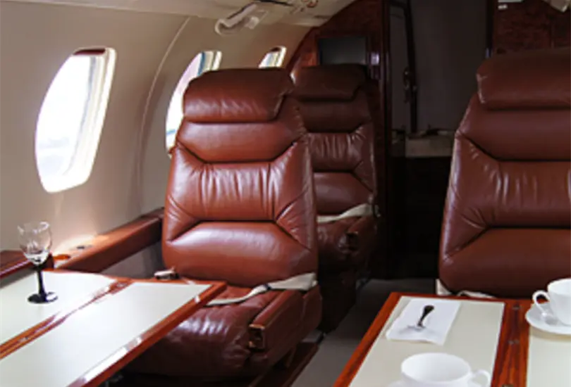 Su diseño interior incluye elementos como mesas plegables, minibar y, en algunos modelos, conexión a internet. Su diseño interior incluye elementos como mesas plegables, minibar y, en algunos modelos, conexión a internet.