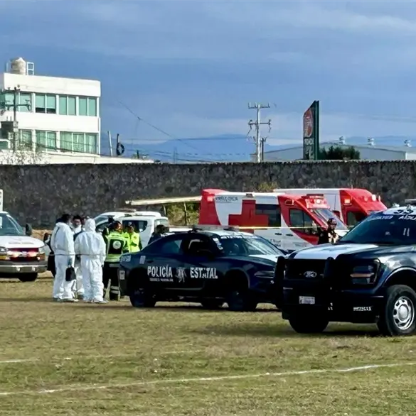 Del triunfo a la tragedia: campeones de béisbol, ellos eran las víctimas del accidente aéreo en Toluca Del triunfo a la tragedia: campeones de béisbol, ellos eran las víctimas del accidente aéreo en Toluca