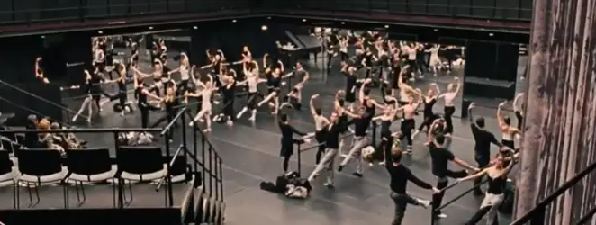 El Cisne Negro. Especial.