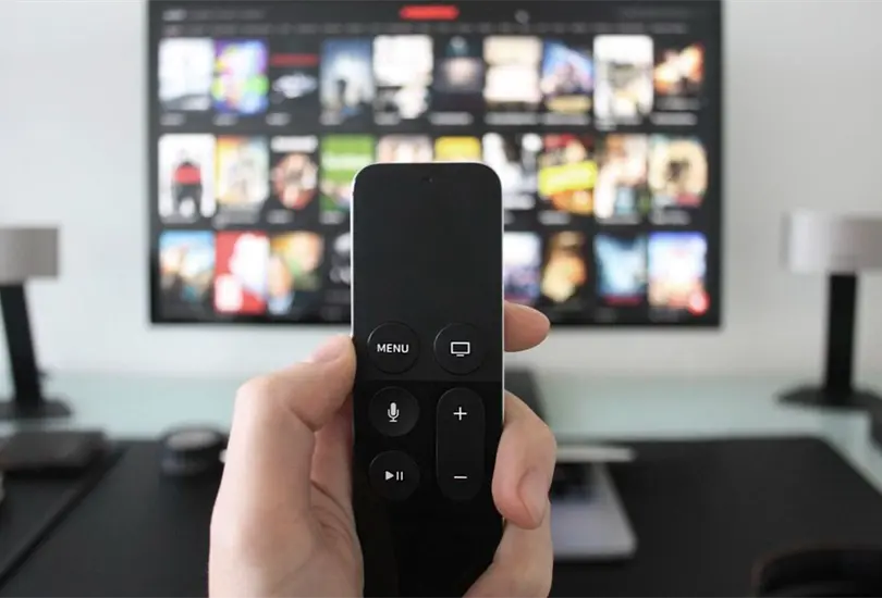 ¿Cuál es la plataforma que lidera en México?