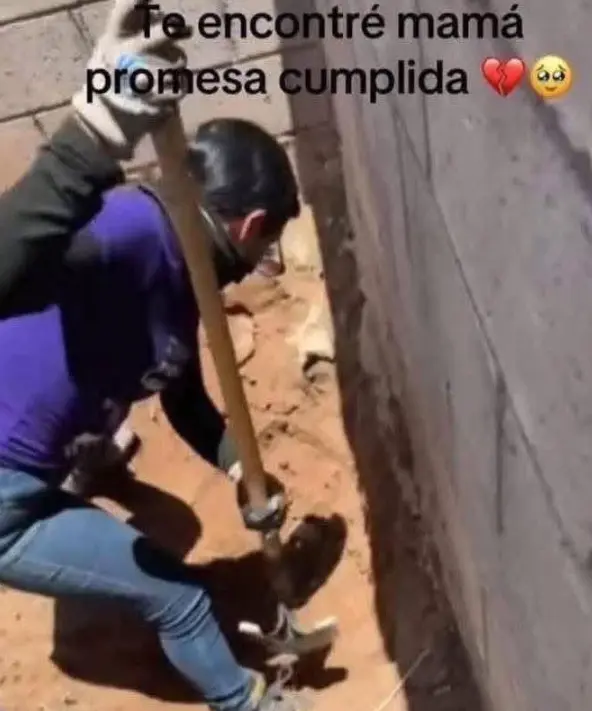 Gris tomó la pala, caminó bajo el sol y recorrió terrenos difíciles impulsada por la promesa de no abandonar a su madre. X.