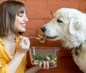 Grasas buenas: La clave para un pelaje de diez en tu mascota