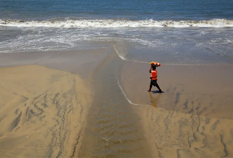 Las playas contaminadas con heces fecales.