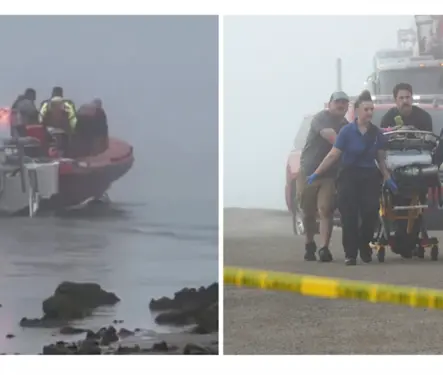 Avi&oacute;n de la SEMAR se estrella en Texas en misi&oacute;n con Michou y Mau; hay cinco muertos