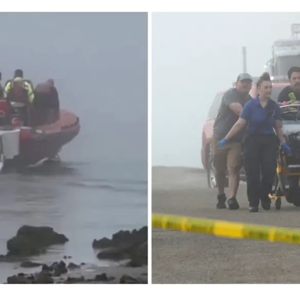 Avi&oacute;n de la SEMAR se estrella en Texas en misi&oacute;n con Michou y Mau; hay cinco muertos