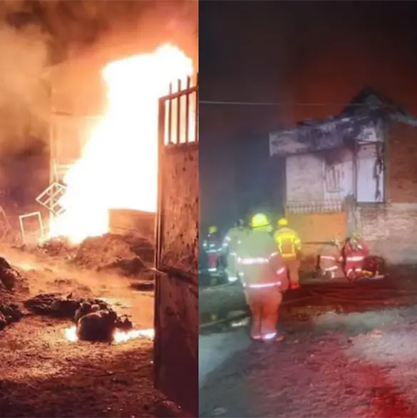 Hombres armados incendian recicladora con bombas molotov en Uruapan Hombres armados incendian recicladora con bombas molotov en Uruapan