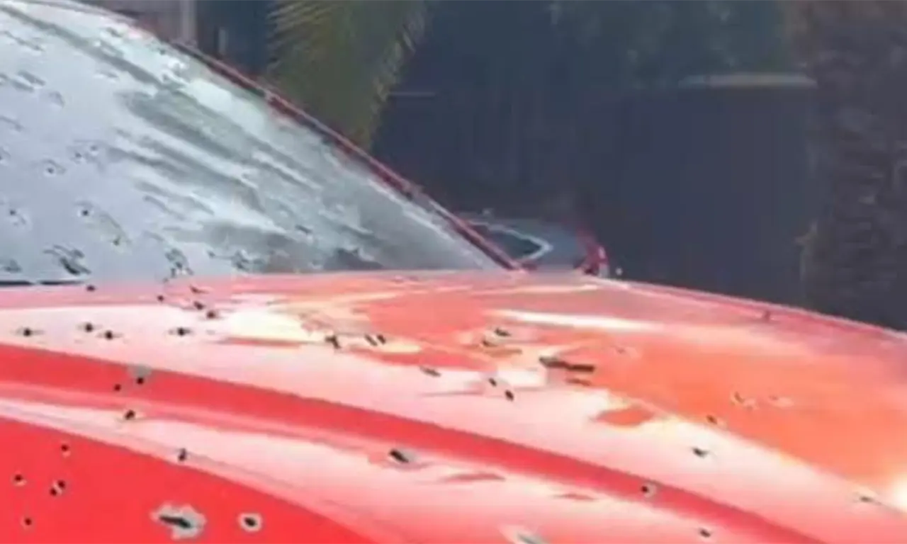  Autos de alta gama con múltiples impactos de bala. 