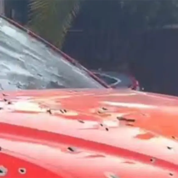 ¿Quién era Alberto “El Prieto”, sujeto asesinado en la balacera de Guadalajara?