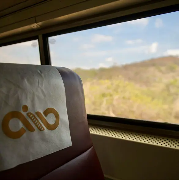 Esta es la lista oficial de fallecidos por el descarrilamiento del Tren Interoceánico Esta es la lista oficial de fallecidos por el descarrilamiento del Tren Interoceánico