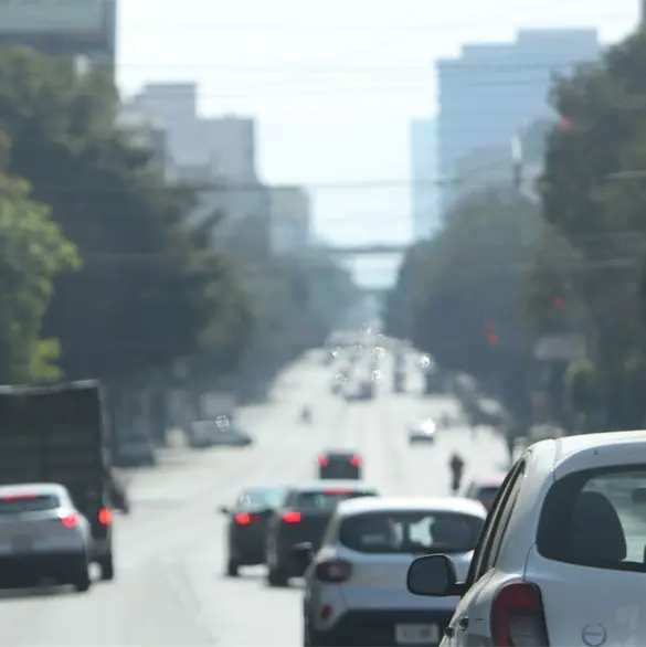 Autos que no circulan hoy viernes 2 de enero tras decretarse la primera contingencia de 2026 Autos que no circulan hoy viernes 2 de enero tras decretarse la primera contingencia de 2026