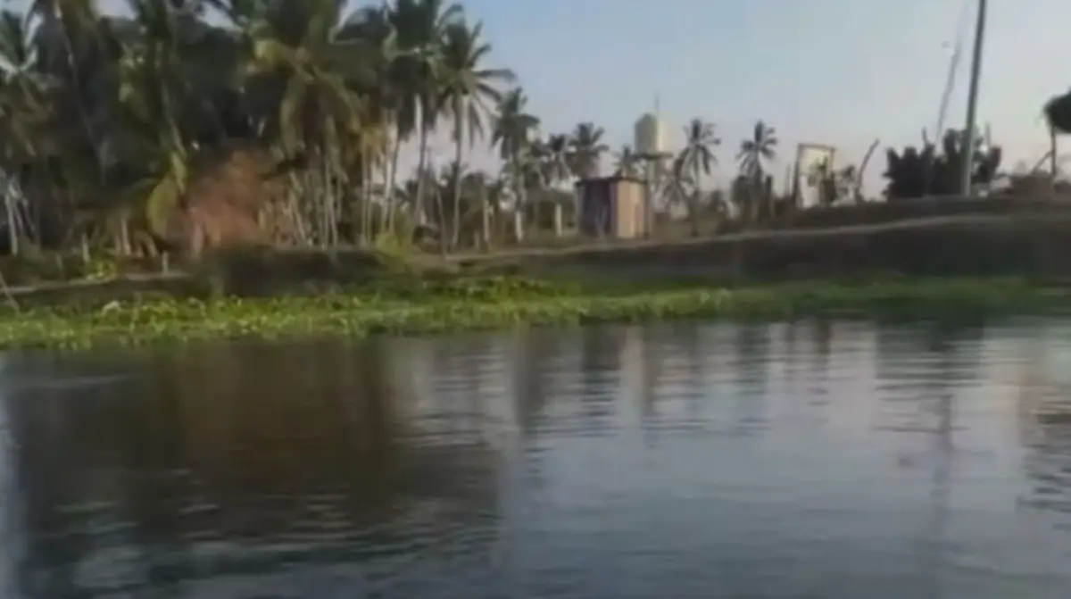  Un video captó cómo el sismo de magnitud 6.5 alteró la Laguna de Coyuca. 
