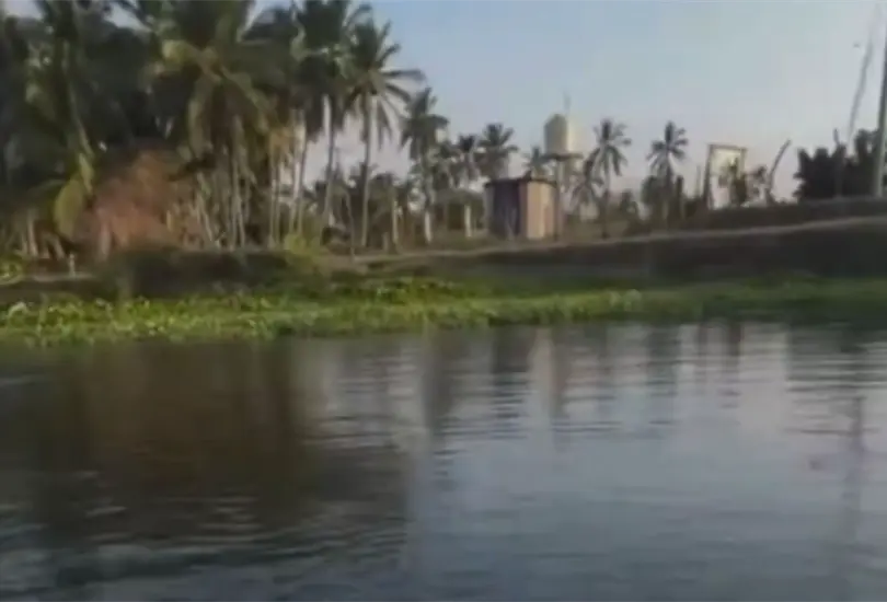 Un video capt&oacute; c&oacute;mo el sismo de magnitud 6.5 alter&oacute; la Laguna de Coyuca.