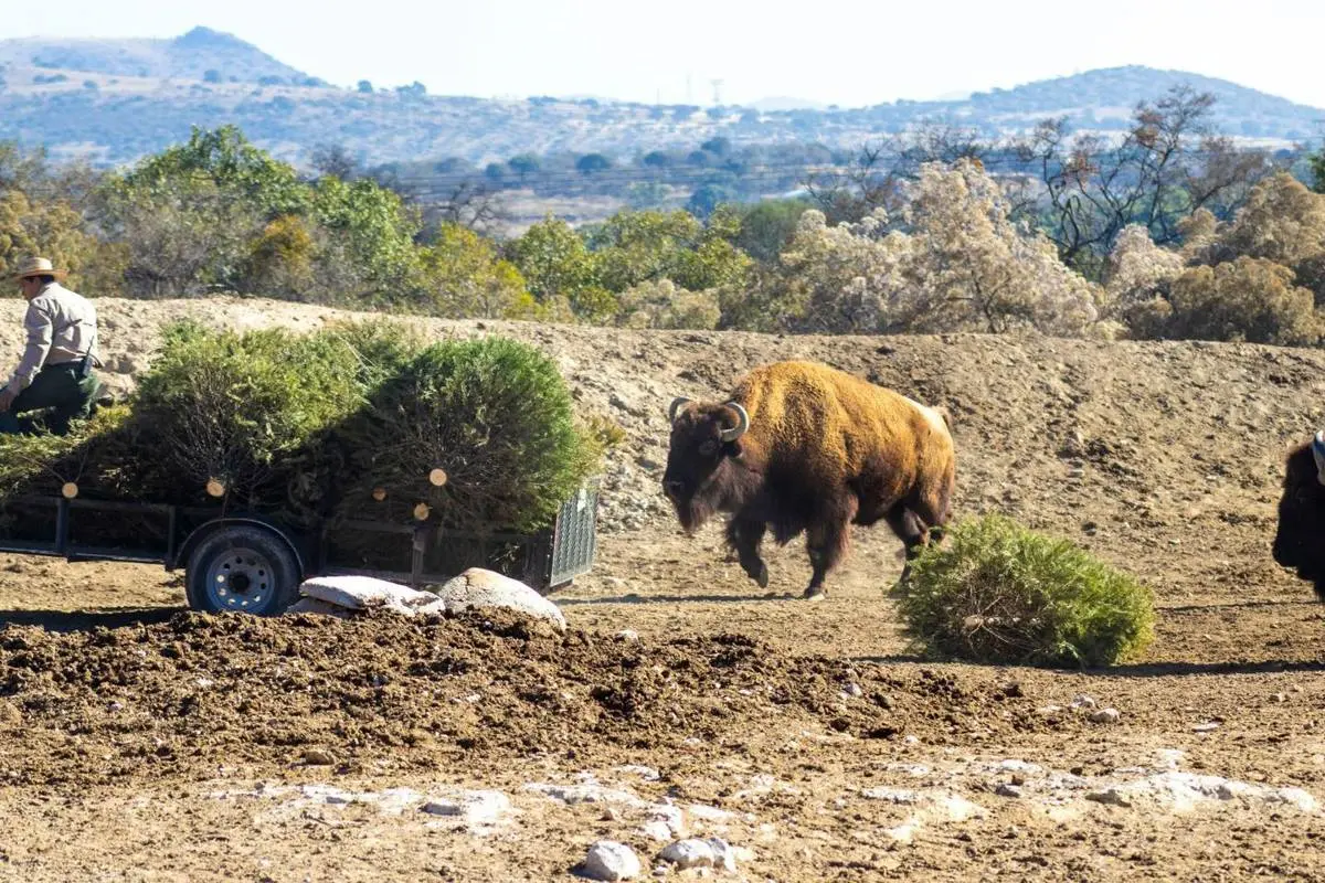Gobierno de la Ciudad. 