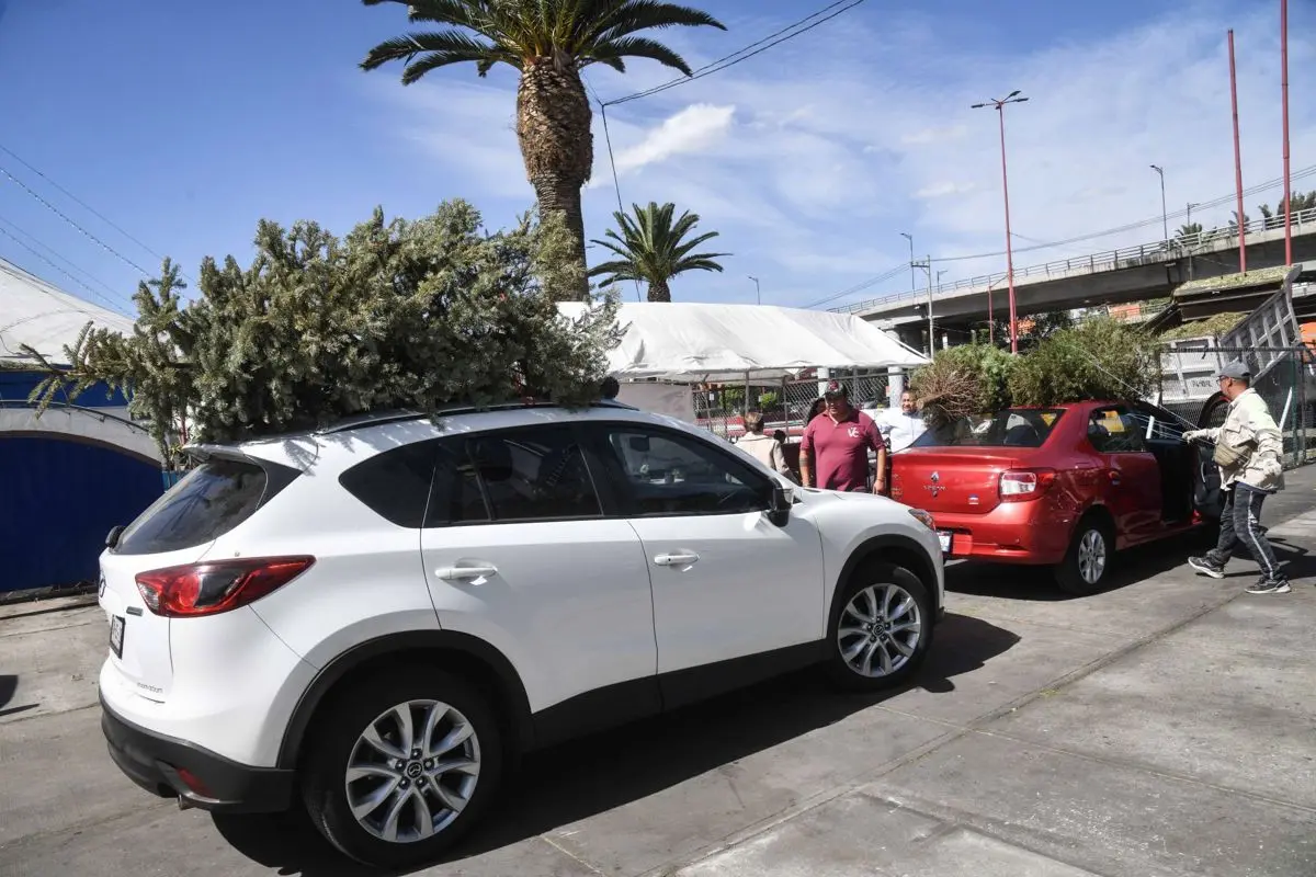 La campaña de acopio está vigente del 6 de enero al 15 de febrero de 2026. Cuartoscuro.