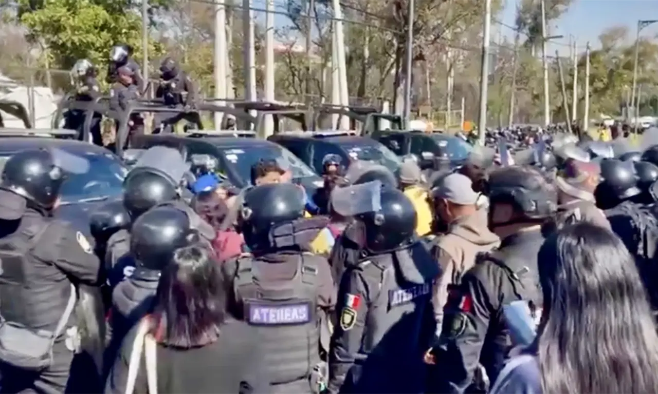  Rescatan casi mil animales en Cuajimalpa: operativo destapa presunto maltrato en el Refugio Franciscano 