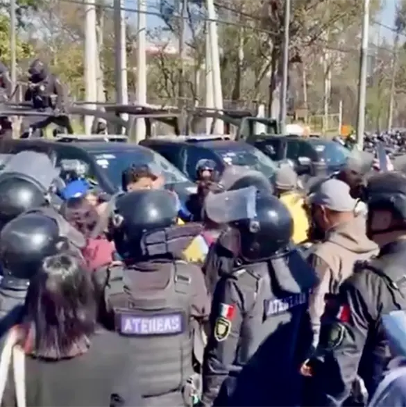 Rescatan casi mil animales en Cuajimalpa: operativo destapa presunto maltrato en el Refugio Franciscano