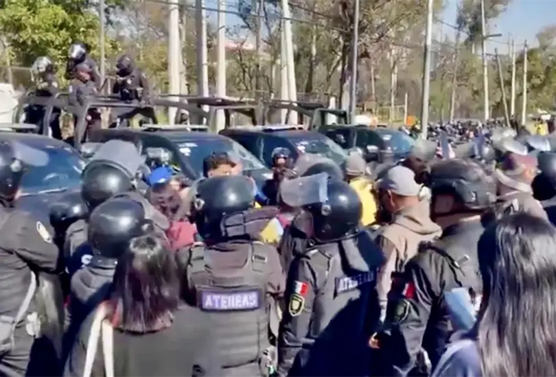 Rescatan casi mil animales en Cuajimalpa: operativo destapa presunto maltrato en el Refugio Franciscano
