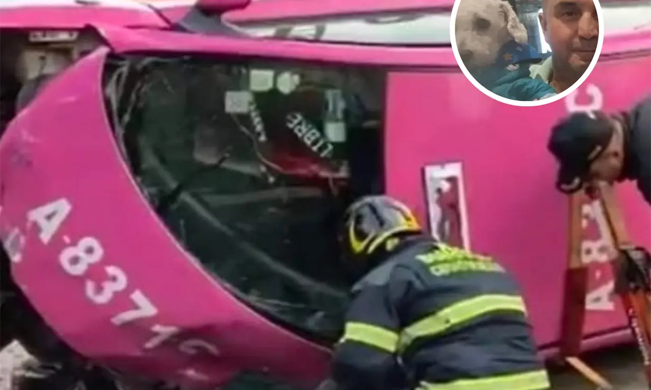  Se notificó la muerte de Chicharrón el perrito del taxista de San Antonio Abad. 