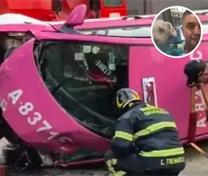 Muere Chicharr&oacute;n, el perrito del taxista que destroz&oacute; su auto en CDMX