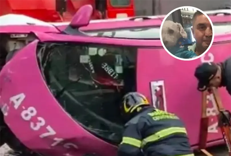 Se notific&oacute; la muerte de Chicharr&oacute;n el perrito del taxista de San Antonio Abad.