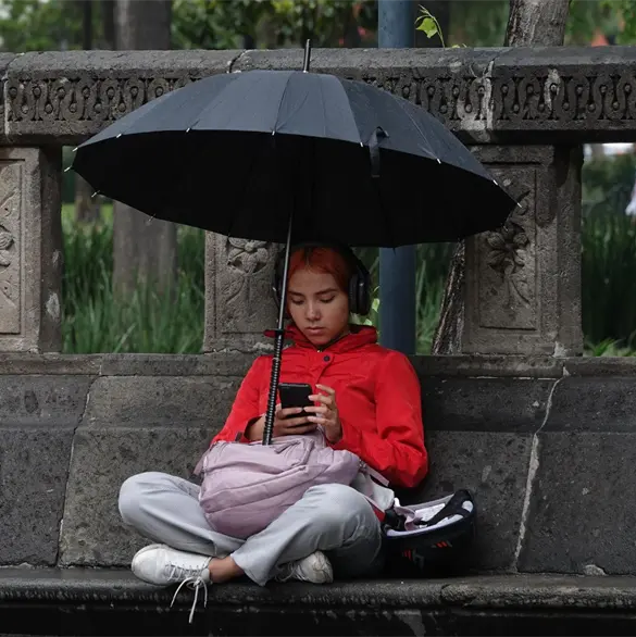 Registro obligatorio 2026: &iquest;C&oacute;mo v&iacute;ncular tu CURP con tu celular paso a paso?