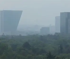 Activan contingencia ambiental en el Valle de M&eacute;xico: &iquest;qu&eacute; autos no circulan este viernes 9 de enero?