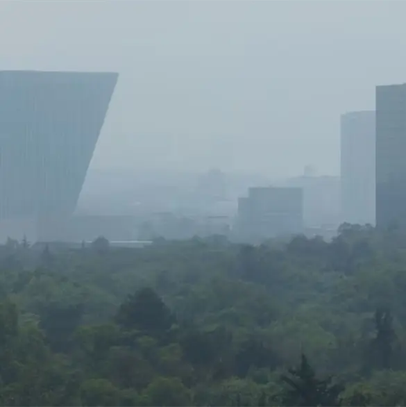 Activan contingencia ambiental en el Valle de M&eacute;xico: &iquest;qu&eacute; autos no circulan este viernes 9 de enero?