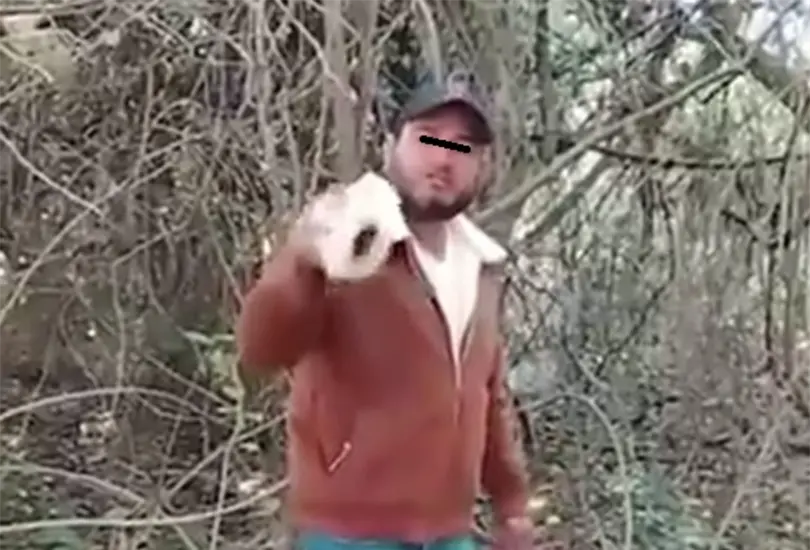 Desde la regi&oacute;n de Tierra Caliente, en Michoac&aacute;n, el presunto l&iacute;der criminal reapareci&oacute; con un mensaje directo a Sheinbaum y Harfuch.