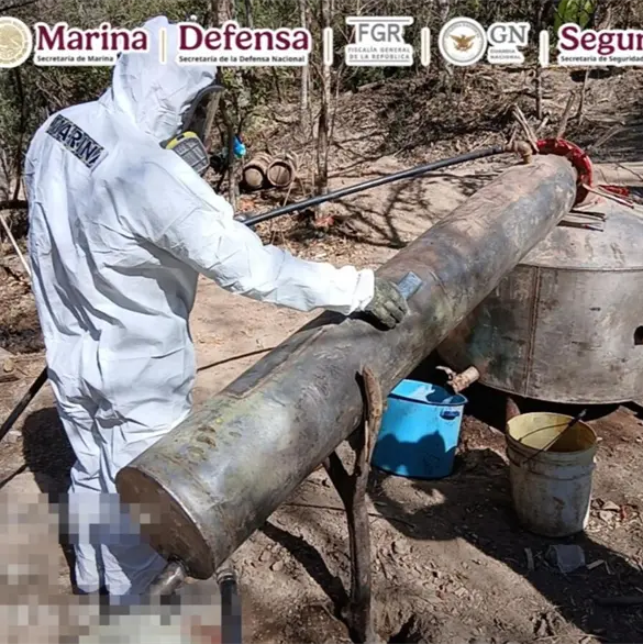 Desmantelan narcolaboratorios con 700 kilos de metanfetamina en Michoac&aacute;n, Durango y Sinaloa