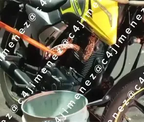 Compra una moto usada y descubre un pit&oacute;n escondido en el motor | VIDEO