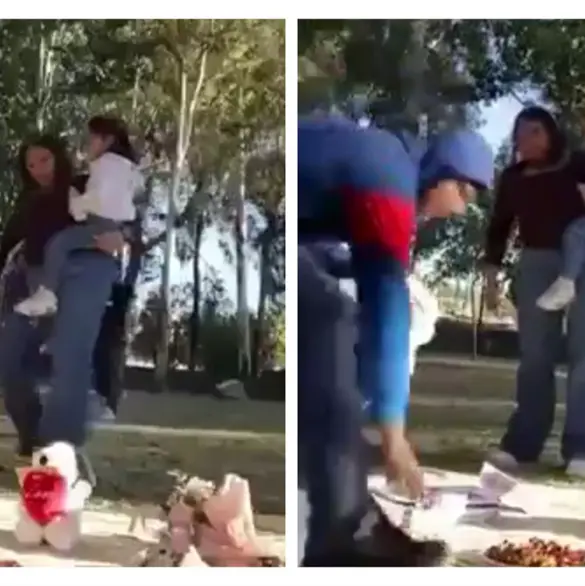 Asalto a plena luz del d&iacute;a en Los Fuertes queda grabado por familia | VIDEO