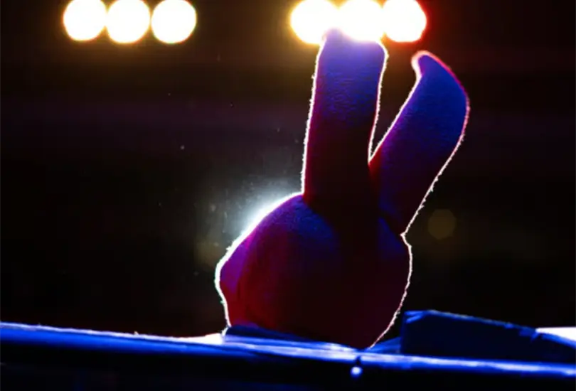 Se trata de un espect&aacute;culo de acceso libre, por lo que no se requiere boleto previo. 