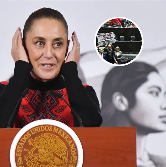 &iquest;Vida eterna para Morena? Claves de la reforma electoral explicadas