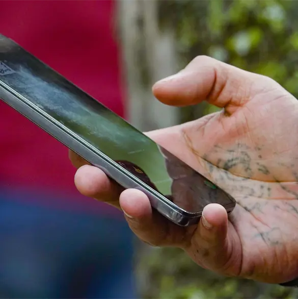 Registro obligatorio 2026: ¿Cómo desvincular tu CURP de un número de celular? Paso a paso Registro obligatorio 2026: ¿Cómo desvincular tu CURP de un número de celular? Paso a paso