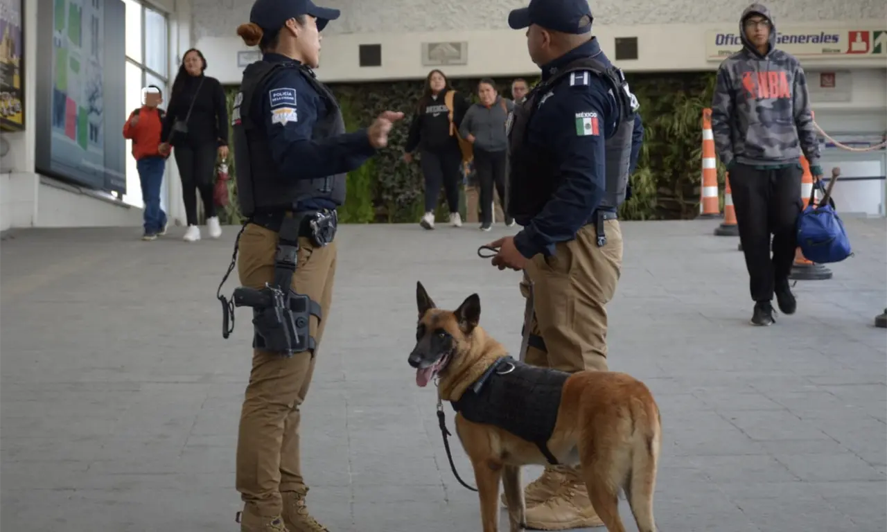  Operativos y perros policía refuerzan la seguridad en Puebla: decomisos y detenciones 