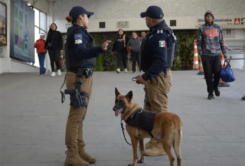 Operativos y perros policía refuerzan la seguridad en Puebla: decomisos y detenciones