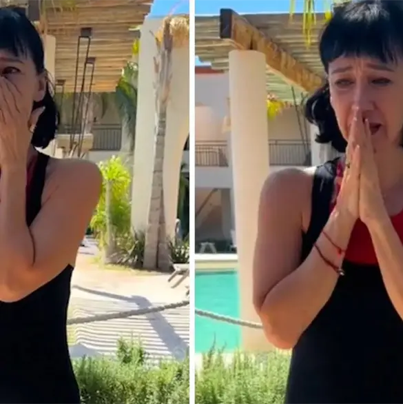 Detienen al jardinero de Susana Zabaleta por cortar ramas secas de una palmera