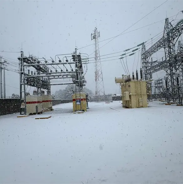 CFE vuelve a los mercados internacionales: qué significa para los usuarios CFE vuelve a los mercados internacionales: qué significa para los usuarios